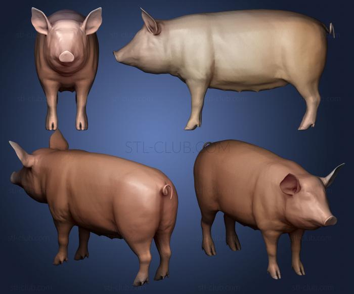 3D model Pork Cuts Diagram (STL)